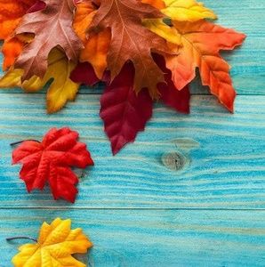 Meet your Posher, Natasha